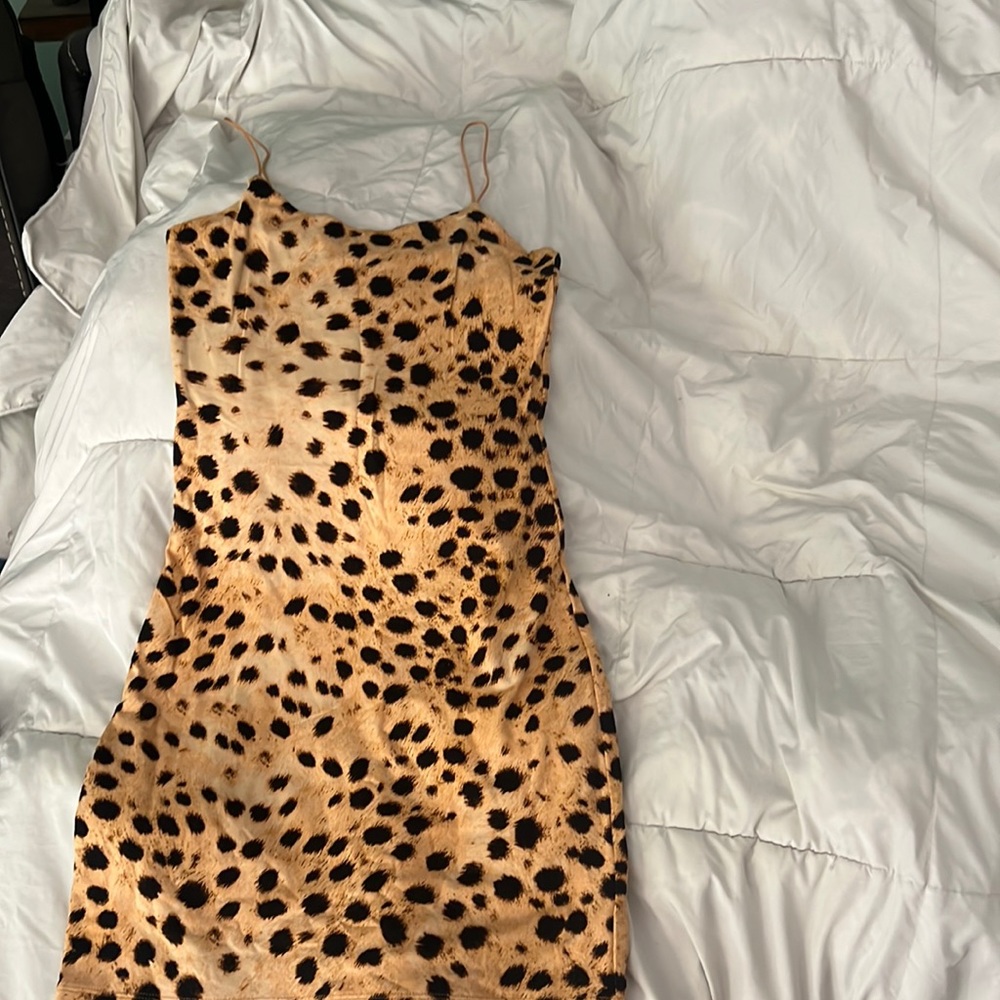 Mini dress wildfires by Aritzia.  Size XS cheetah print
